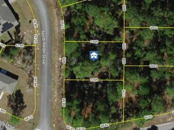 8753 N Raidin Dr Lot 15, Dunnellon, FL 34433