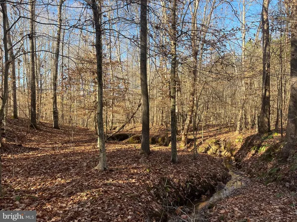Little Polecat Tract, Halifax, VA 24558