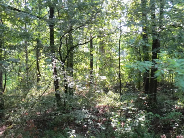 0 Highway 133 N, Wilmar, AR 71675
