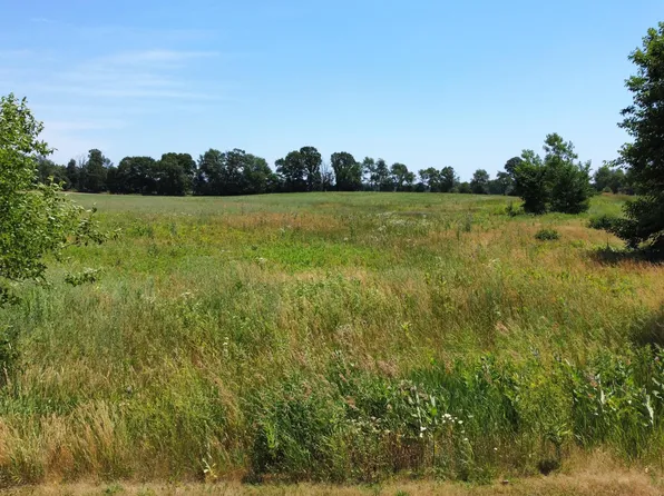 14118 Elm Row Ln, Albion, MI 49224