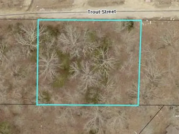 140 Trout Street, Kissee Mills, MO 65680