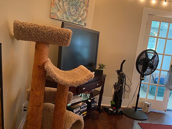 3rd image of 623 S Palmetto Ave APT 6