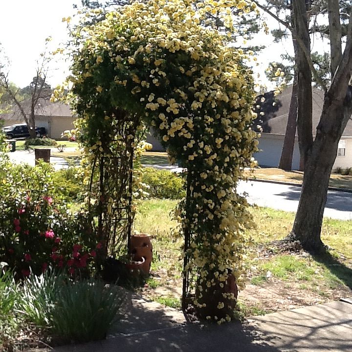 2nd image of 10 Brennan Ln