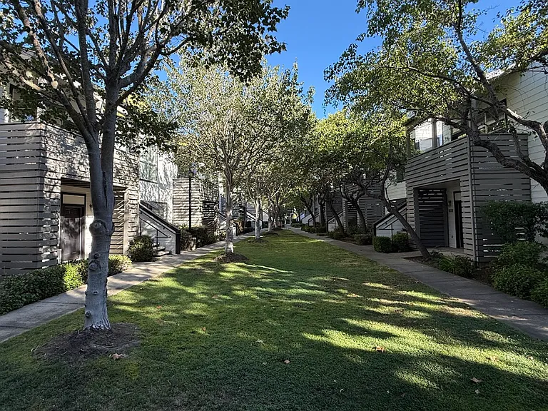 Montage Apartments — Photo 20