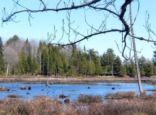 On Boy Scout Island Rd, Watersmeet, MI 49969