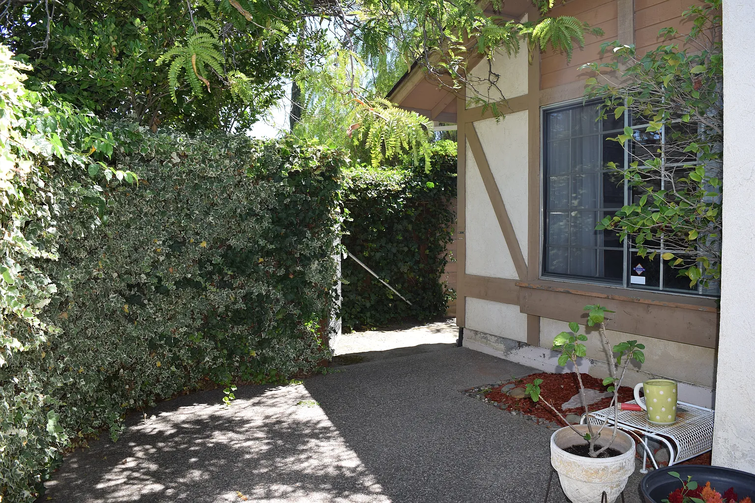 101 Shellie Ct photo 1