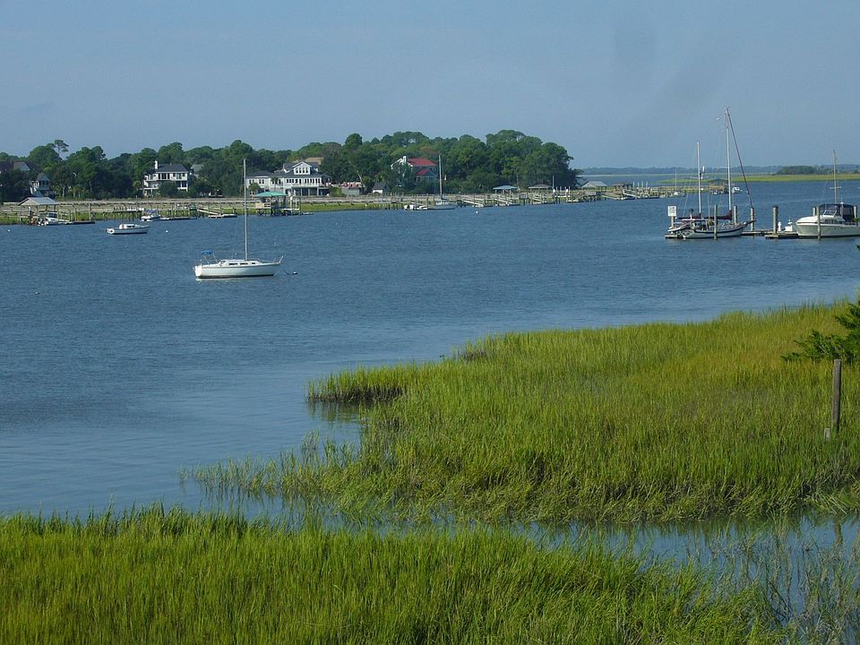 View from the screened porch.