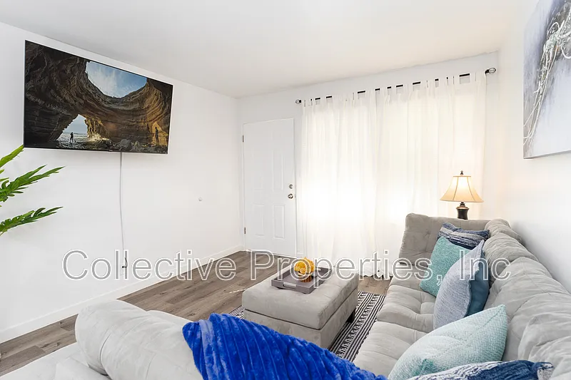 2 bed, 2.0 bath, 700 sqft, $3,000 — Photo 3