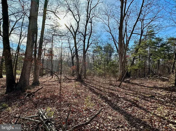 Lots 11 & 12 Wardensville Grade, Winchester, VA 22602