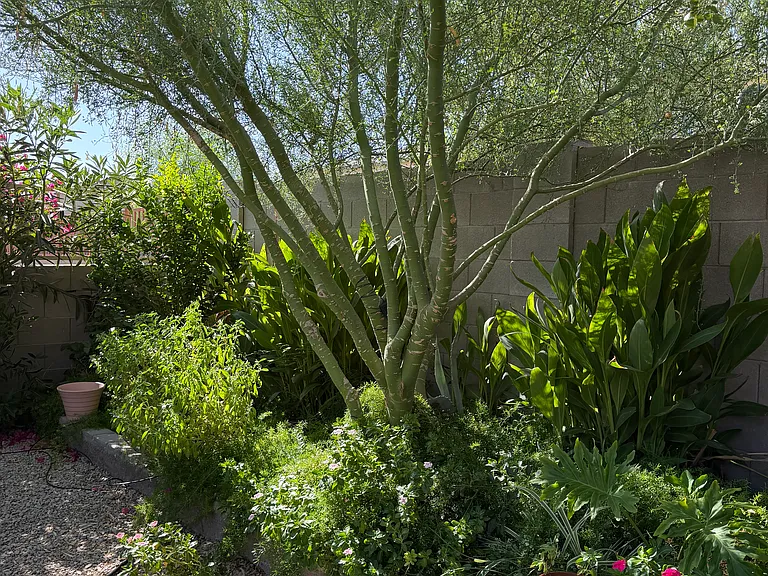 124 W Bobcat Pl — Photo 6