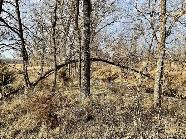 0 Buck Creek Rd, Greentop, MO 63546