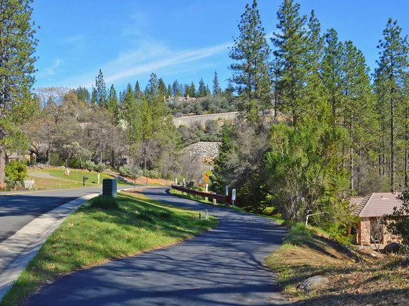 1451 Lodge View Dr, Meadow Vista, CA 95722