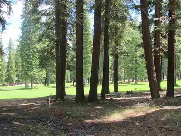 157 Slim Dr, Chester, CA 96020