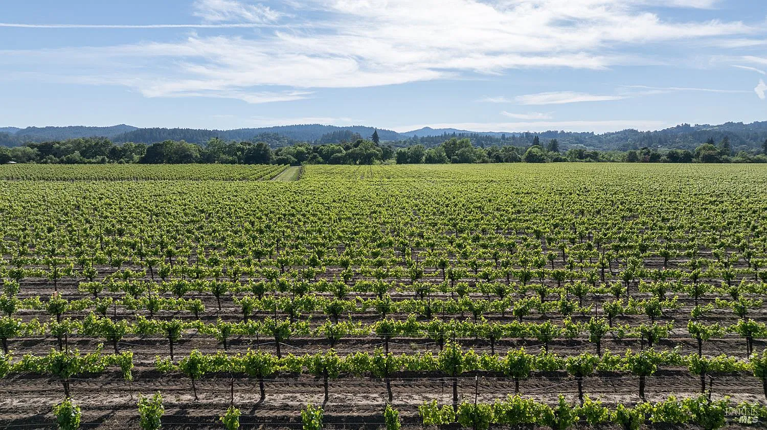 374 Kinley Drive - in Healdsburg, CA