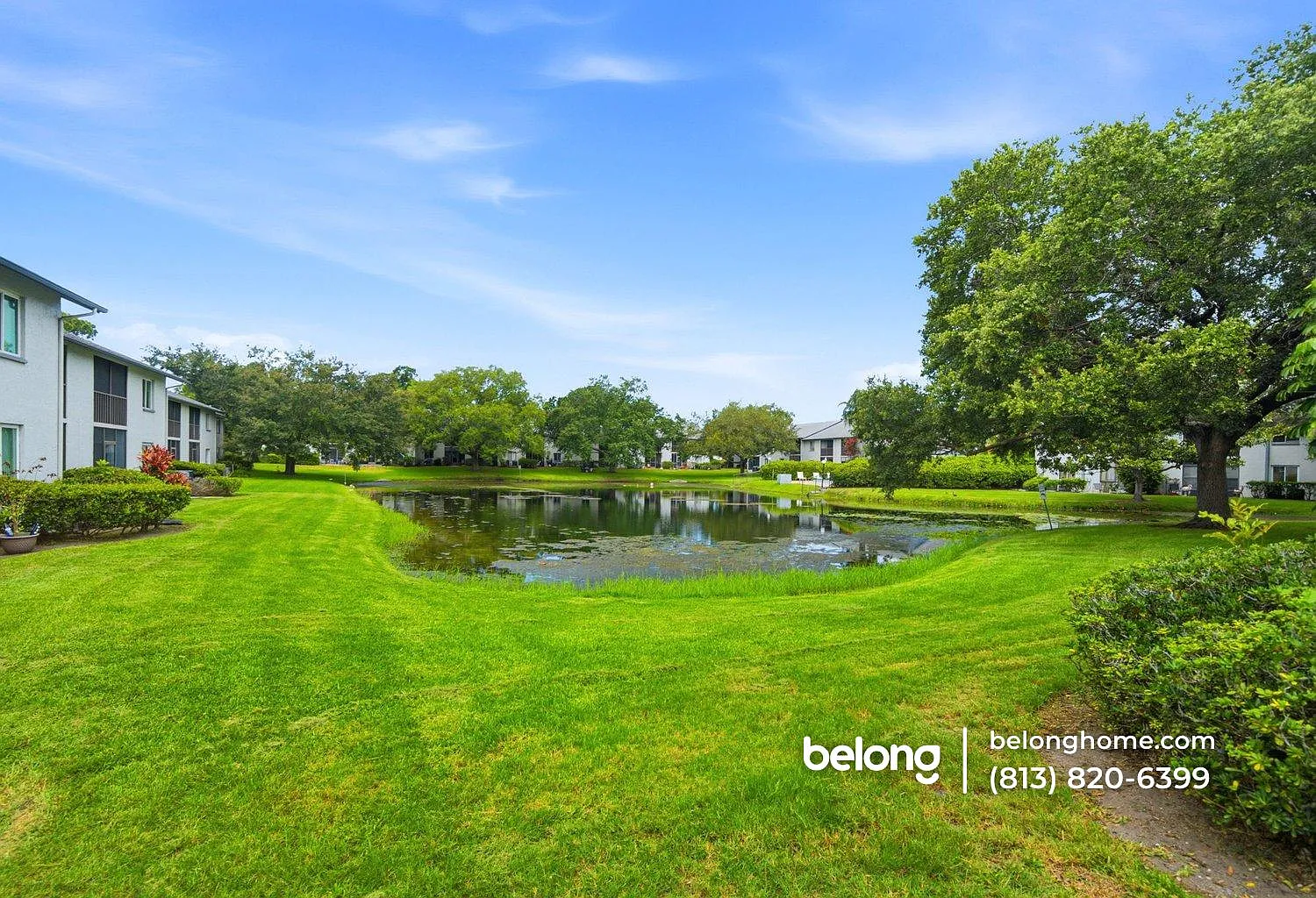1 bed, 1.0 bath, 775 sqft, $1,175 — Photo 3
