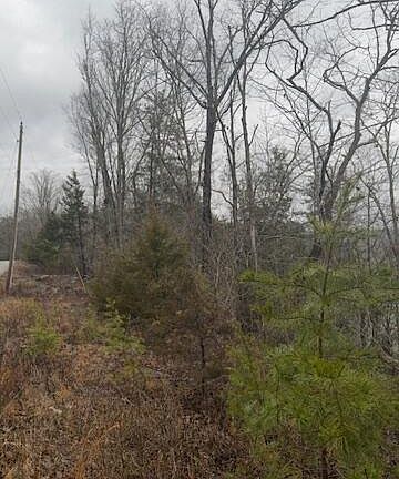 3rd image of 8.7 Wolf Gap Rd #8.7