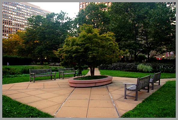 Sold by Camhi NYC Realty Inc | media 7