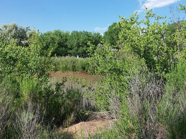 E1 B2 County Rd #142, Abiquiu, NM 87510