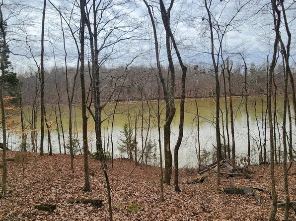 0 McMinnville Hwy, Quebeck, TN 38579