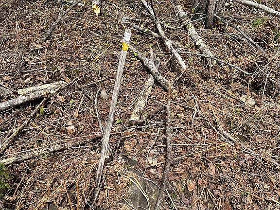 3rd image of Tbd Net River Rd