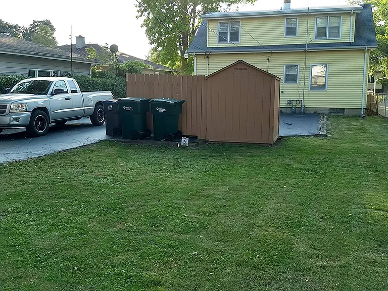 Back yard