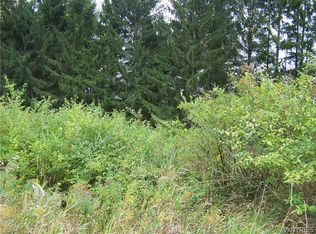 3 Acres Center St, Colden, NY 14033