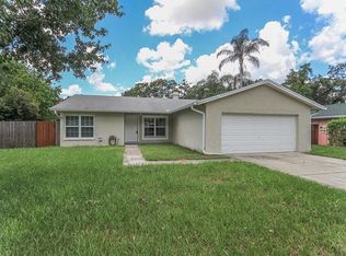 743 Climate Dr, Brandon, FL 33511