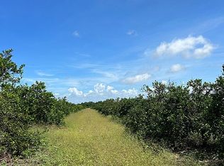 0 Wallace Rd, Bartow, FL 33830