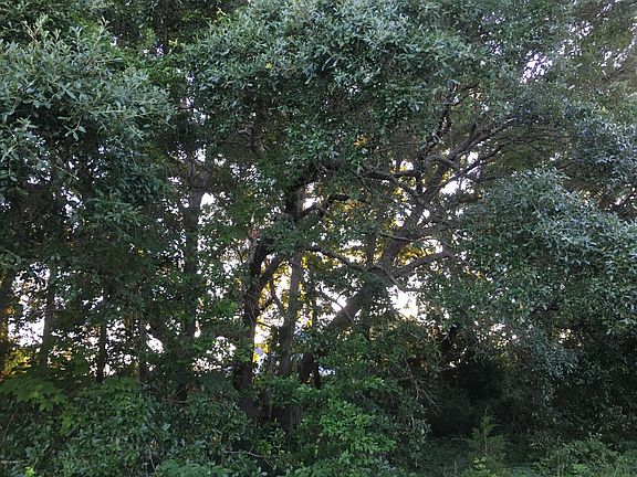 3rd image of Lot 120 E Island View Drive