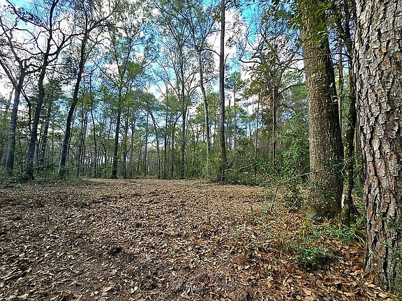 2nd image of 28028 Crossway Oaks