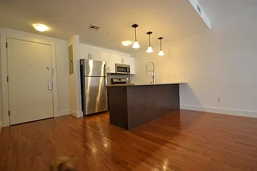 Rented by Bold New York