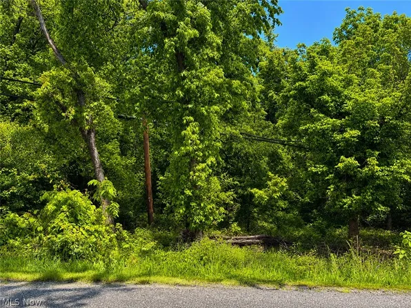 Sunset Dr, Bridgeport, OH 43912