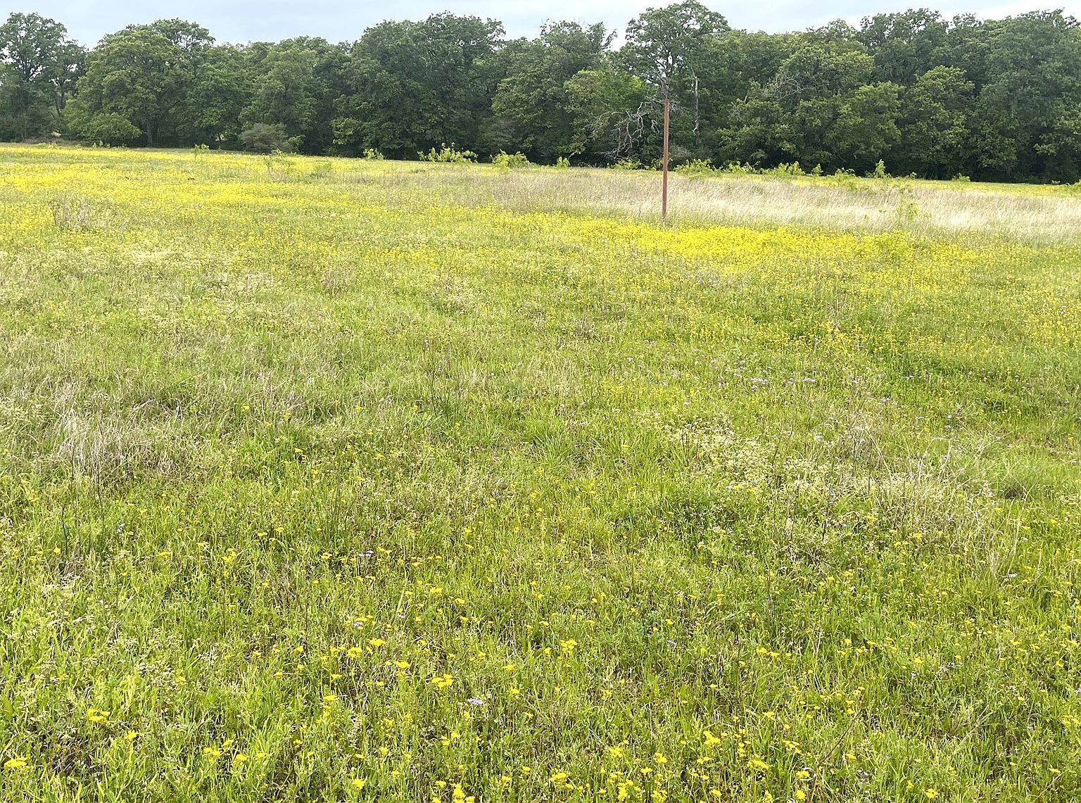 3576 Diamond Point Ln, North Zulch, TX 77872 Zillow