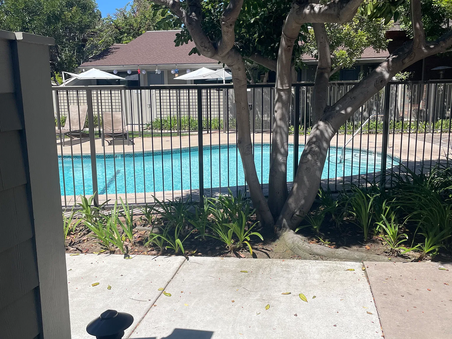 3 bed, 2.5 bath, 1585 sqft, $6,200 — Photo 2