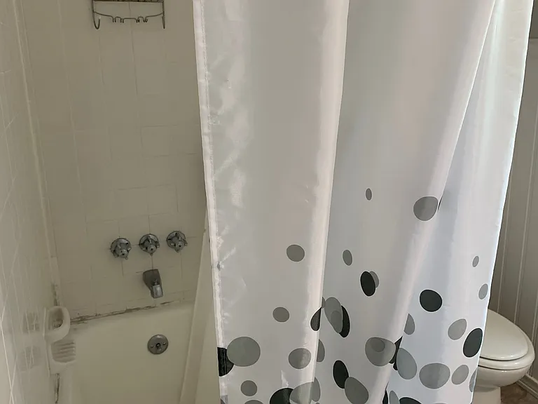 Upstairs bathroom tub, toilet