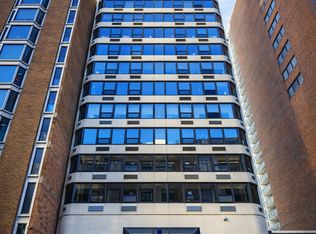 221 E Walton Pl APT 17E, Chicago, IL
