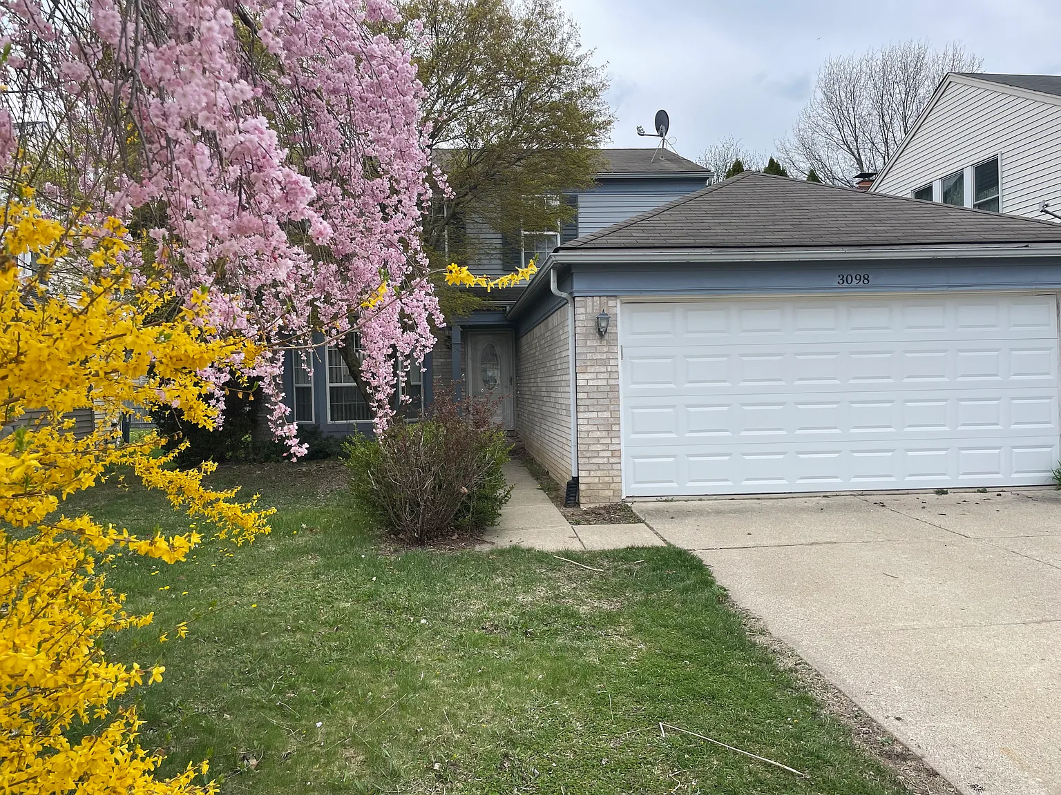 3098 Ailsa Craig Dr photo 1