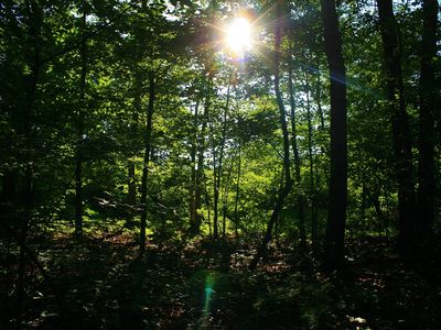 Jenkins Rd, Gerrardstown, WV, 25420