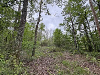 0 Light Plant Rd, Monticello, MS, 39654