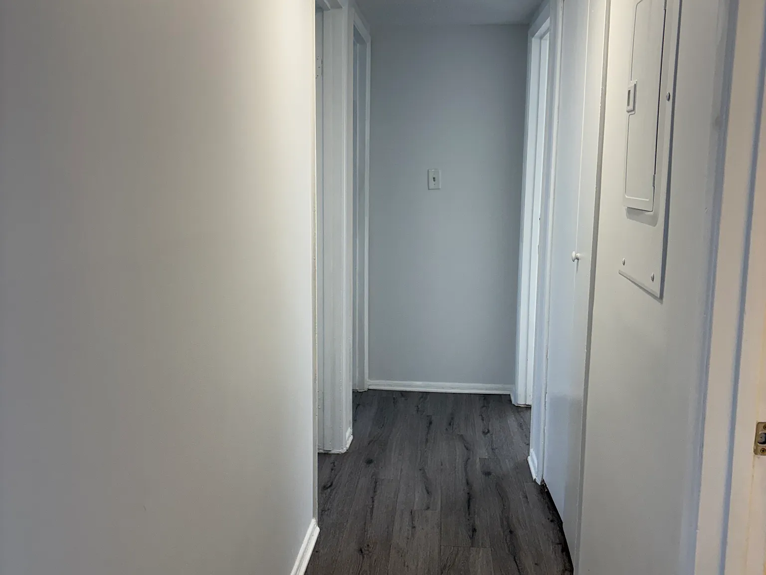 3 bed, $2,300 — Photo 4