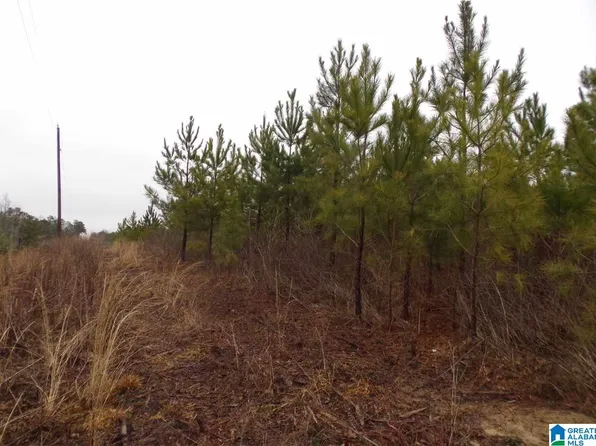 Jackson Trl, Altoona, AL 35952