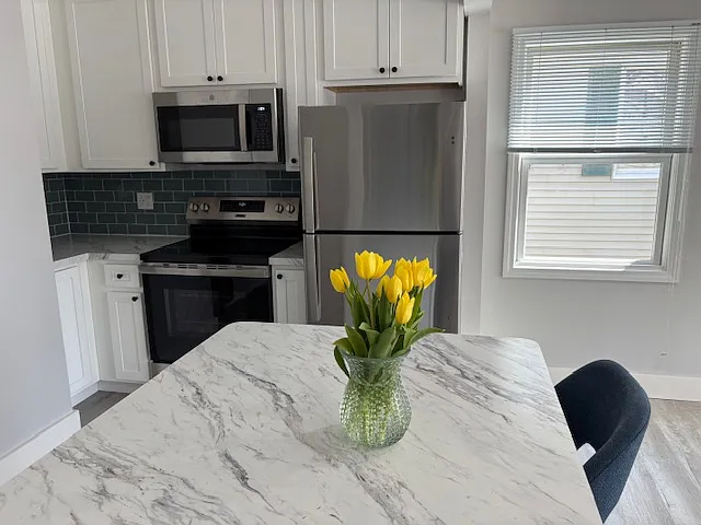 Stainless appliances