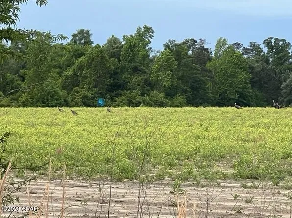 0 S Us Rd, Marianna, FL 32446