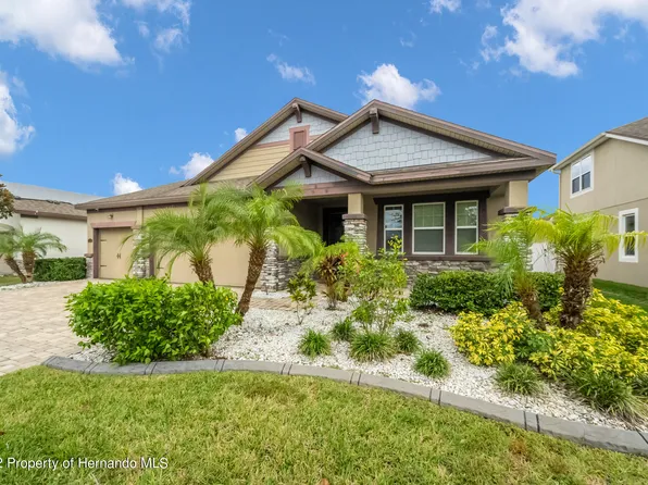 12306 Prairie Valley Ln, Riverview, FL 33579