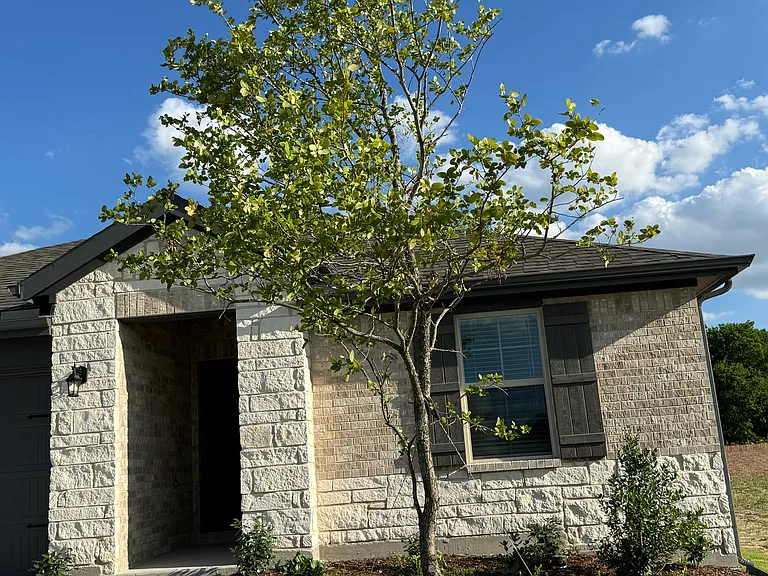3333 Cross Shore Dr — Photo 3