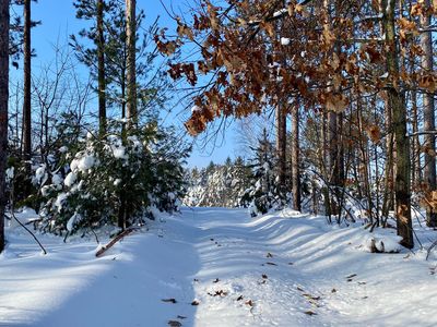 1840 Tree Farm Rd, Gaylord, MI, 49735