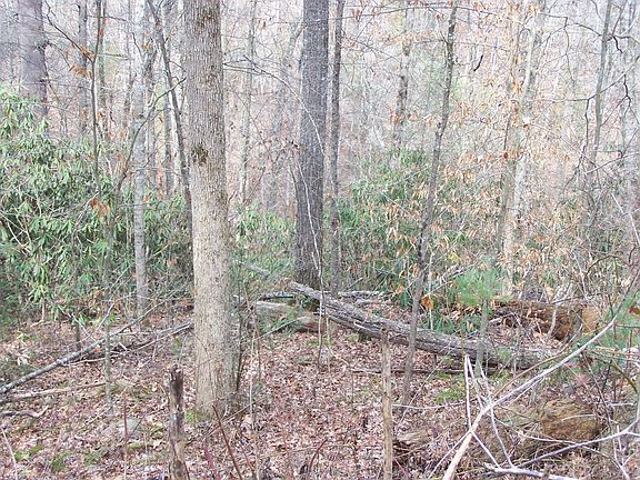 5th image of 129 Springside Way Lot 110