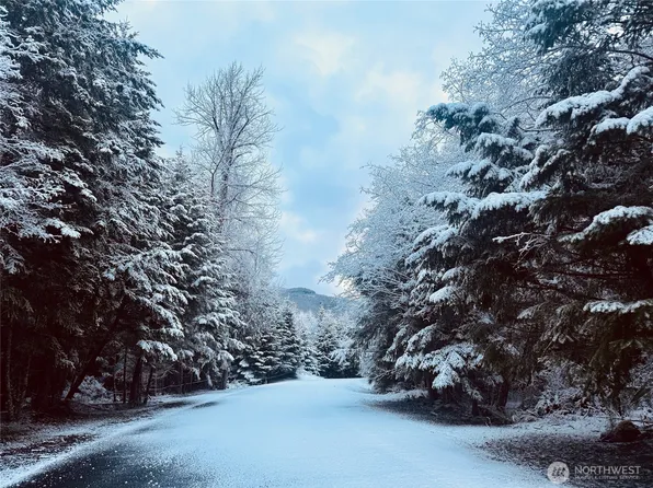 12064 Elk Trails Drive E, Greenwater, WA 98022