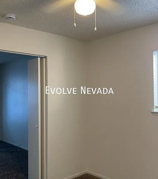 6675 Peppermint Dr — Photo 11