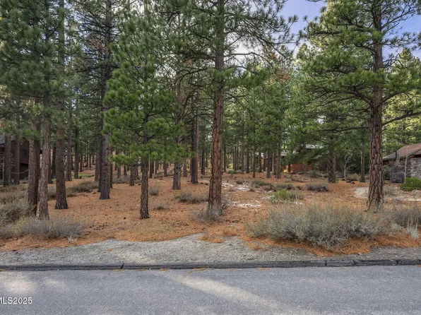 1385 Austrian Pine Rd, Reno, NV 89511